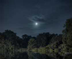Harry Kaufmann. Moon Over Lake.Â 2009.