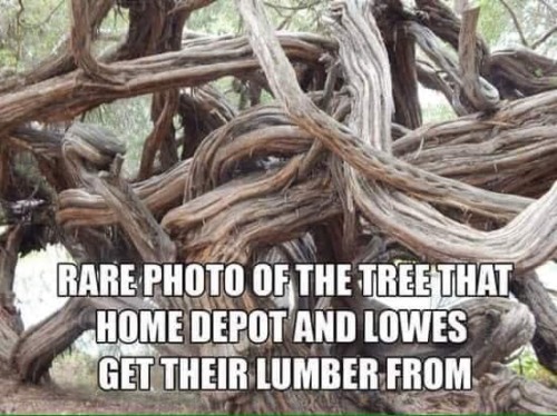 Rusted And Twisted
