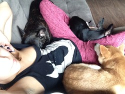 All of the pups! REZ, Chicky &amp; Dags! #puppycuddlepuddle