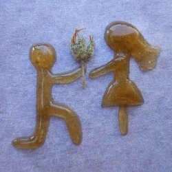 weedwomenandwhips:  Best way to ask your stoner gf to marry you