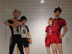 honyakukanomangen:  First wall of Haikyuu!! illustrations at