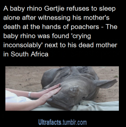 ultrafacts:  Source For more posts like this, CLICK HERE to follow