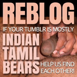 indianbears:  REBLOG ONLY IF YOUR TUMBLR IS DEVOTED TO MOSTLY