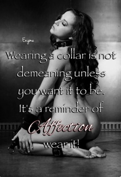 sirtrouble43:  Wearing a collar has so much meaning to a couple..