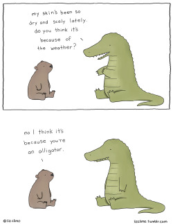lizclimo:  what’s my excuse  