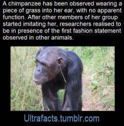 ultrafacts:  Source/article: [x] Click HERE for more facts 