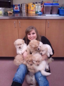 cute-overload:  My friend attempting to hold seven puppies at