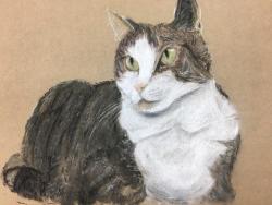 Here’s a drawing of my chubby kitty, Frosting, which I’ve