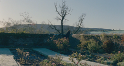 hanlucao:Wide shots in Jane Eyre 2011, dir. by Cary Fukunaga