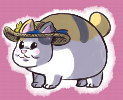 someone requested i drew fat cat in a sun hat in a stream a while