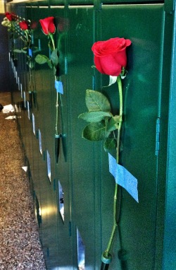 dark-shade:  theundeadchivalry: Today, I got a rose for every