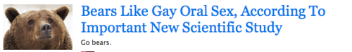 vinniedakotas:  jturn:  flamboyant-dog:  jturn:  who the fuck funded this study you can find this out by spending 5 minutes in a sauna  YOU SPEND 5 MINUTES IN THE SAUNA WITH A FUCKING BEAR???  hun  @wafflethemighty 