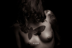 klosephoto:  Light and a body is all it takes. w/ @lisar-tattoomodel-karlsruhe