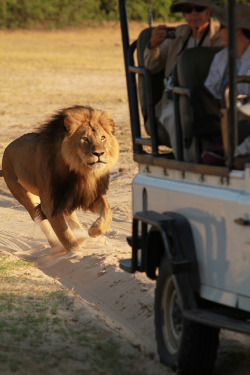  Meals on wheels! by paulafrenchp on Flickr. 