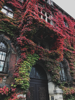 duettaeann: The National Museum in Wroclaw, Poland