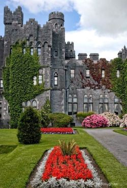 djferreira224:  Ashford Castle ~ Ireland  nice!