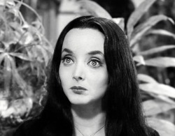 Carolyn Jones as Morticia Addams, 1964 via. cultmoviestars