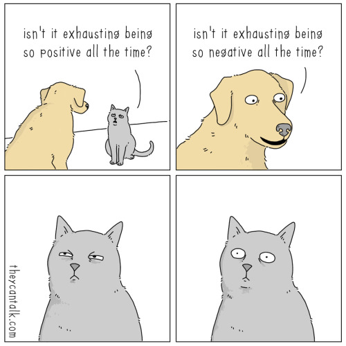 theycantalk:  positive