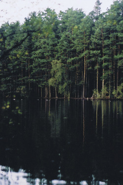 tearingdowndoors:  The local lake || Synchronised with the rising