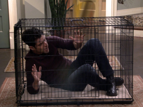 soxnties:  Check out SoxnTiesMax Greenfield caged on Hot in Cleveland.   The pup is not allowed to run around free all over the house when Master is out.