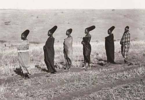 The six wives of Mseuteu Zulu, taken by Alfred Duggan-Cronin,