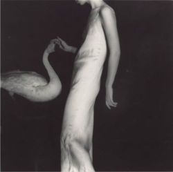 verocskakoschsartcorner:  //…Francesca Woodman…// (1958–1981)