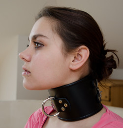 evilqueen1969:  “Wow. You were right a posture collar is very