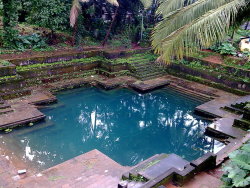 arjuna-vallabha:  Temple tank, Kerala 