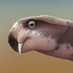 amaruuk:  Some synapsids from my PaleoPortraits series. Get them