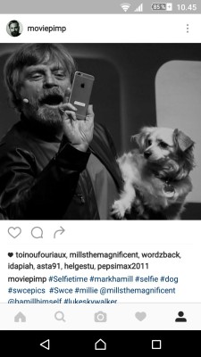 Mark Hamill’s dog Millie liked my picture on instagram