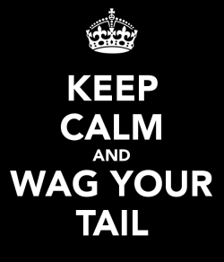 leatherlacedbass:  Keep Calm and Wag Your Tail! (Keep caption