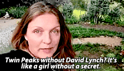justiceforbritta-deactivated201: Twin Peaks without David Lynch