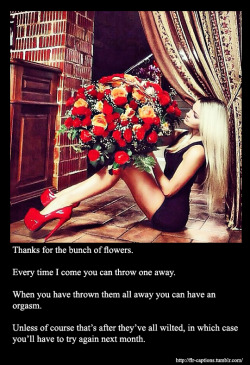 Thanks for the bunch of flowers. Every time I come you can throw