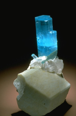 mineralists:  Bright blue Beryl with Quartz on Mircocline(variant