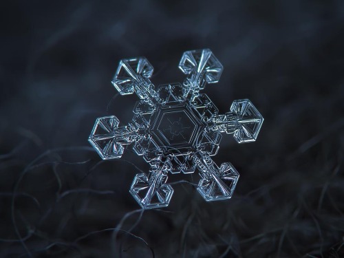 Fragile beauty