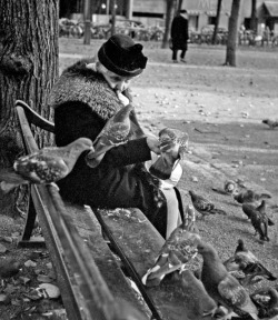  Feeding the Pigeons. Stockholm. 1951. Photographer: Dirk de