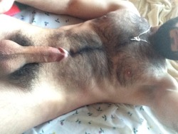 spermburper1: rob1962nude:   hairy-hairy-and-only-hairy:  he