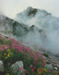 eartheld:  earthdaisy:  retrospectia:  Mountains of Canada, 1984