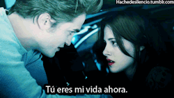 jamilysazocar:  … 
