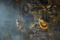 odditiesoflife:  The Ancient Art of Honey Hunting in Nepal The