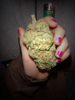 thatsgoodweed:  Grenade sized Nugs; take cover