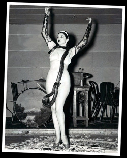 burleskateer:  Zorita      (aka. Katherine Boyd Petillo)   Vintage press photo from 1937 features Zorita performing her “Wedding Of The Snake” act onstage, with one of her Indigo Snakes…   