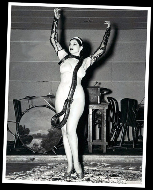 Zorita      (aka. Katherine Boyd Petillo)   Vintage press photo from 1937 features Zorita performing her “Wedding Of The Snake” act onstage, with one of her Indigo Snakes…  