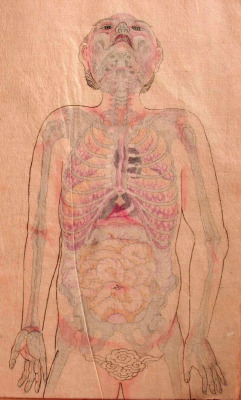 Anatomical illustrations from Edo-period Japan, 1603-1868 http://morbidanatomy.blogspot.com/2010/10/anatomical-illustrations-from-edo.html