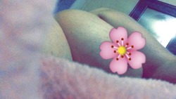brown-nipples:flower nipple