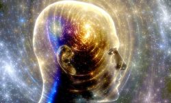spiritualevolution1111:    “You are pure Consciousness— the