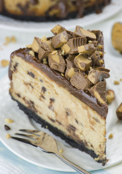 ilovedessert:  Reese’s Peanut Butter Cheesecake 
