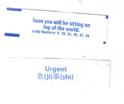 fortuneaday:[A white fortune cookie paper with blue text. Front: