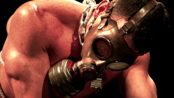 baddognobiscuit:  muscles & gasmask 