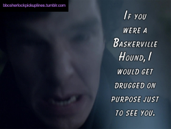 â€œIf you were a Baskerville Hound, I would get drugged on